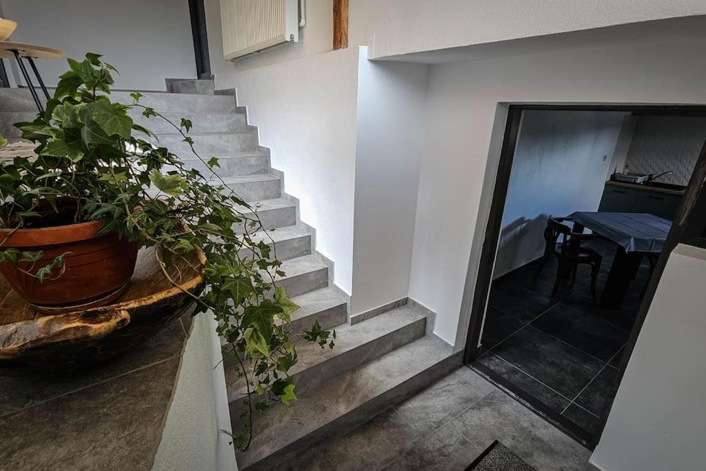 Chalet Dor De Munte 프레데알 외부 사진