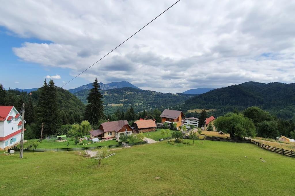 Chalet Dor De Munte 프레데알 외부 사진